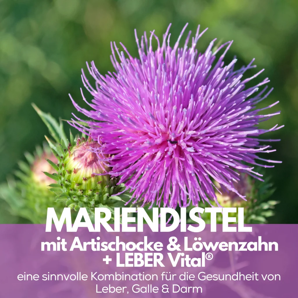 PURENATURALCHOICEMariendistelUSP