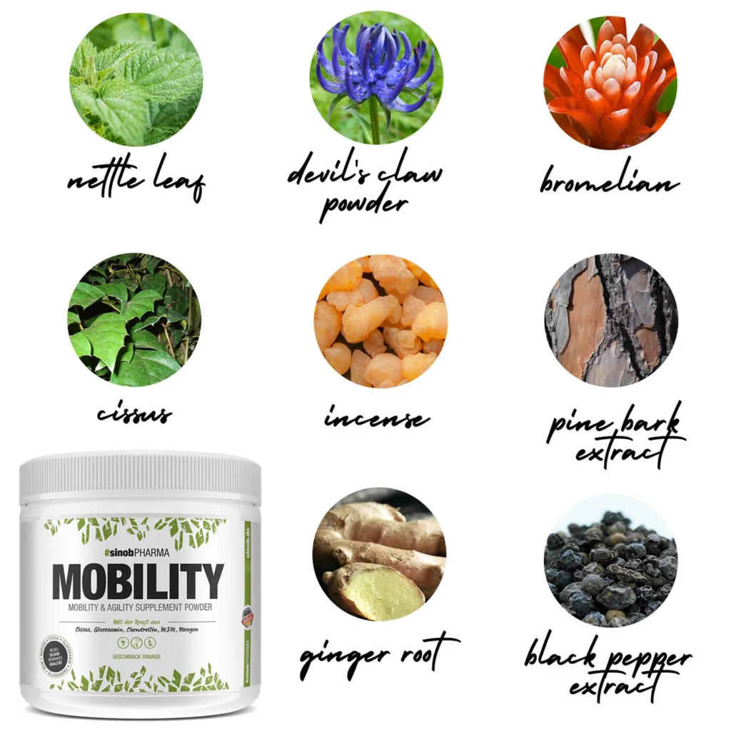 Mobility-Inhaltsstoffe-1500x1500