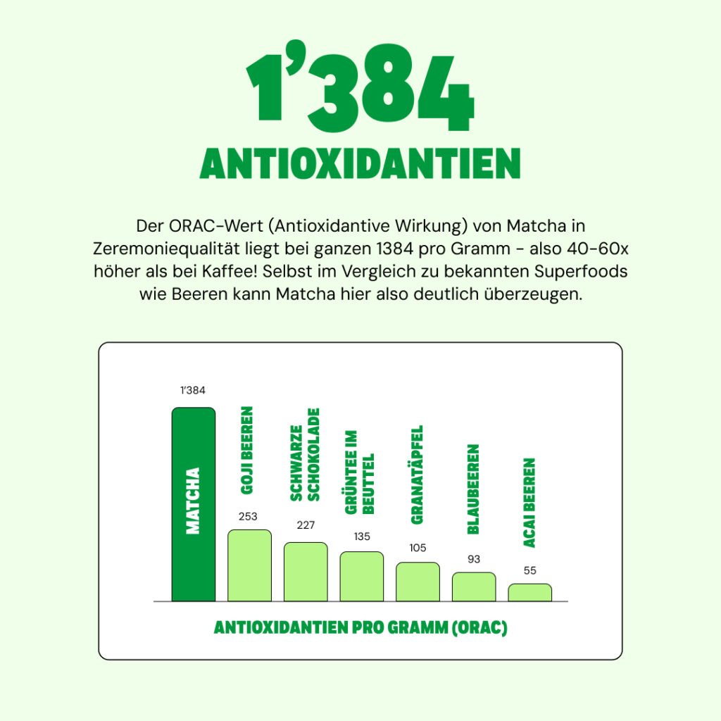 MatchaLand_Vanilla_V2_I-3